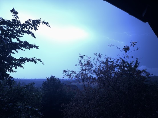 Ein gerade ausgelöster Blitz, links und unten sind Bäume zu sehen 