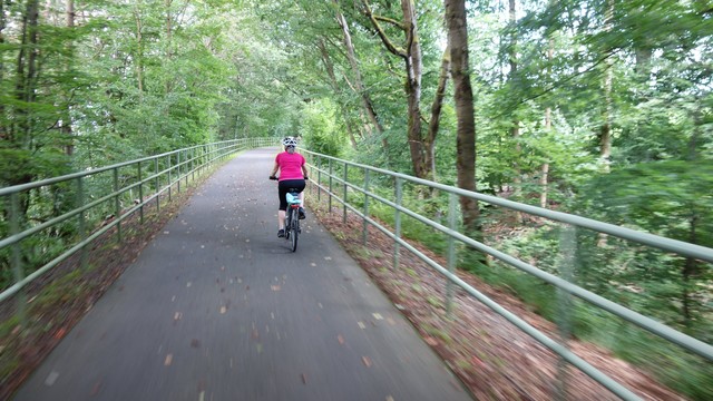 Eine Radfahrerin unterwegs auf dem Rotkäppchenland-Radweg, der auf einem ehemaligen Bahndamm verläuft. Rechts und links des breiten und gut asphaltierten Radwegs sind Stahlgeländer angebracht.