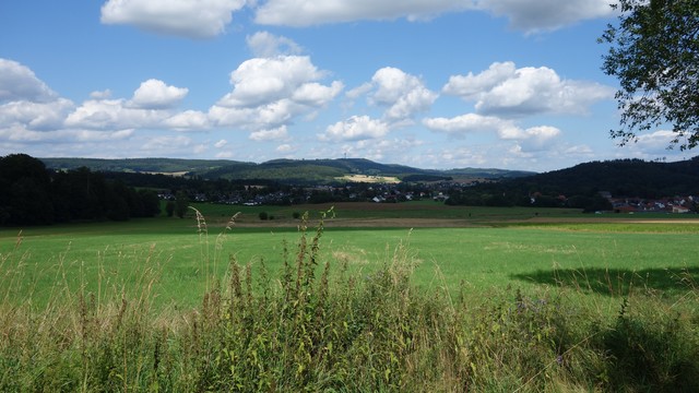 Blick vom Rotkäppchenland-Radweg zum Eisenberg, dem höchsten Berg des Knüllgebirges. Im Vordergrund einige Brennnesseln, dahinter Wiesen und Dörfer und im Hintergrund die bewaldeten Anhöhen des Knülls.